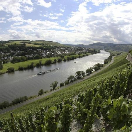 Appartamento Weingut Fehres Brauneberg Esterno foto